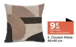 BUT Coussin alane offre