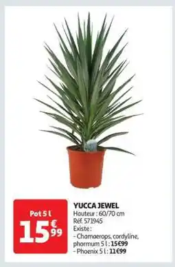 Auchan Yucca Jewel offre