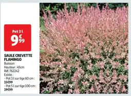 Auchan SAULE CREVETTE FLAMINGO offre
