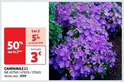 Auchan CAMPANULE 11 offre