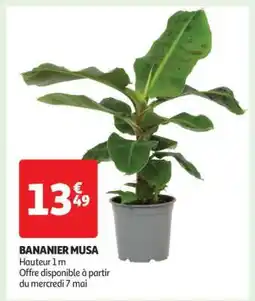Auchan BANANIER MUSA offre