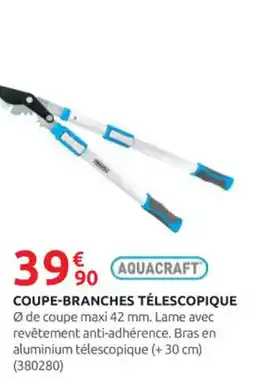 Rural Master AQUACRAFT Coupe-branches télescopique offre