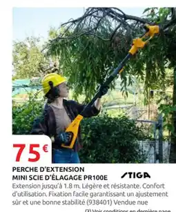 Rural Master STIGA Perche d'extension mini scie d'élagage pr100e offre