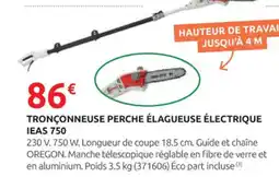 Rural Master Tronçonneuse perche élagueuse électrique ieas 750 offre