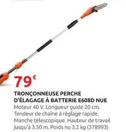 Rural Master Tronçonneuse perche d'élagage à batterie e608d nue offre