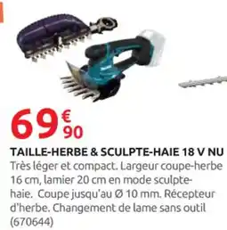 Rural Master Taille-herbe & sculpte-haie 18 v nu offre