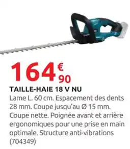 Rural Master Taille-haie 18 v nu offre