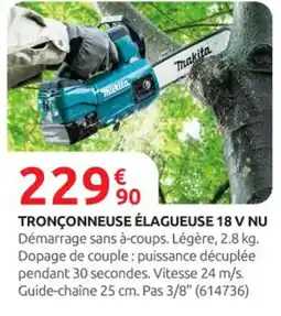Rural Master Tronçonneuse élagueuse 18 v nu offre