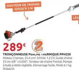 Rural Master Tronçonneuse perche thermique pph250 offre