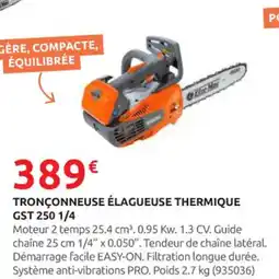 Rural Master Tronçonneuse élagueuse thermique gst 250 1/4 offre
