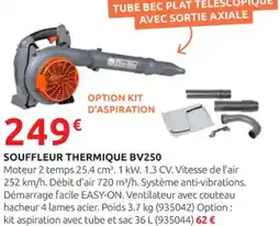 Rural Master Souffleur thermique bv250 offre