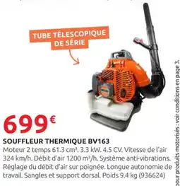 Rural Master Souffleur thermique bv163 offre