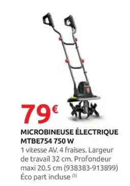 Rural Master Microbineuse électrique mtbe754 750 w offre