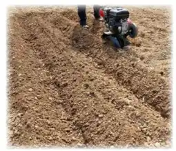 Rural Master Kit butteur rotatif offre