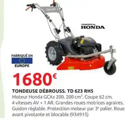 Rural Master Tondeuse débrouss. td 623 rh5 offre