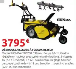 Rural Master Débroussailleuse à fléaux rl460h offre