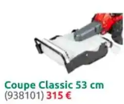 Rural Master Coupe Classic 53 cm offre