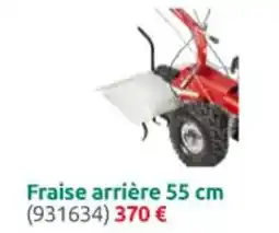 Rural Master Fraise arrière 55 cm offre