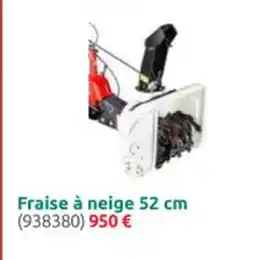 Rural Master Fraise à neige 52 cm offre