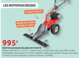 Rural Master Motofaucheuse bilama m210 rato offre