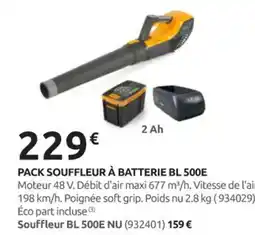 Rural Master Pack souffleur à batterie bl 500e offre