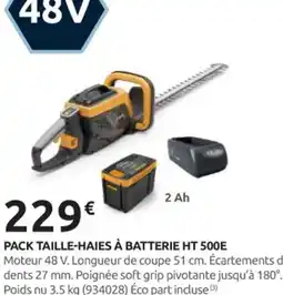 Rural Master Pack taille-haies à batterie ht 500e offre