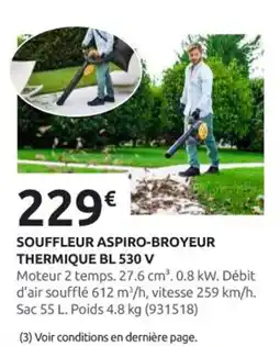 Rural Master Souffleur aspiro-broyeur thermique bl 530 v offre