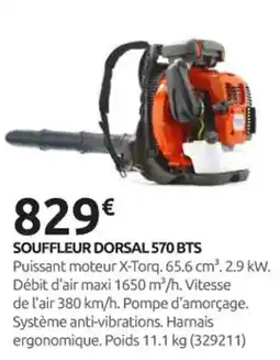 Rural Master Souffleur dorsal 570 bts offre