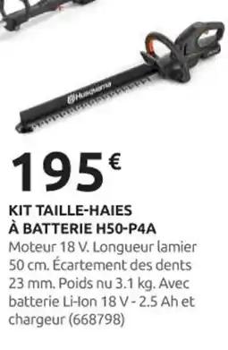 Rural Master Kit taille-haies à batterie h50-p4a offre