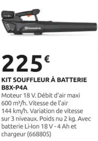 Rural Master Kit souffleur à batterie b8x-p4a offre