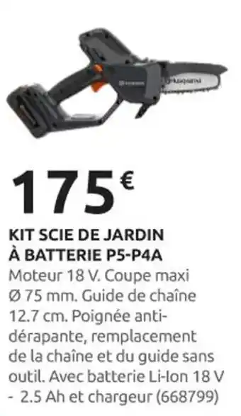 Rural Master Kit scie de jardin à batterie p5-p4a offre