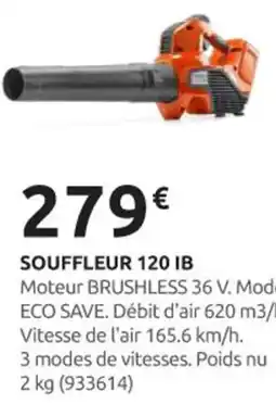 Rural Master Souffleur 120 ib offre