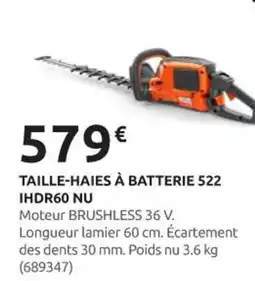 Rural Master Taille-haies à batterie 522 ihdr60 nu offre