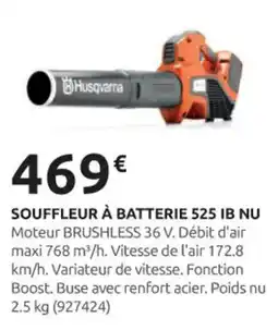 Rural Master Souffleur à batterie 525 ib nu offre