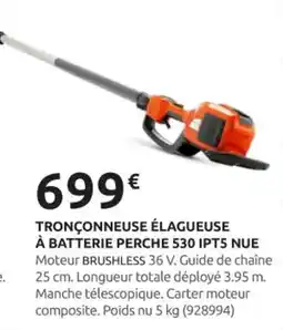 Rural Master Tronçonneuse élagueuse à batterie t5351 xp nue offre