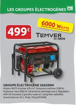 Rural Master TEMVER Groupe électrogène ge6500m offre