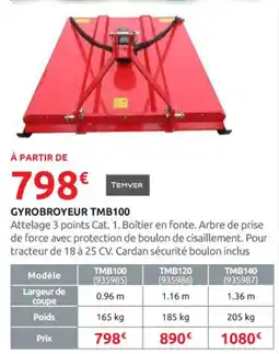 Rural Master TEMVER Gyrobroyeur tmb100 offre