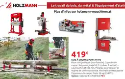 Rural Master HOLZMANN Scie à grumes portative offre
