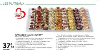 Hyper U Plateau de 63 canapés gourmet offre