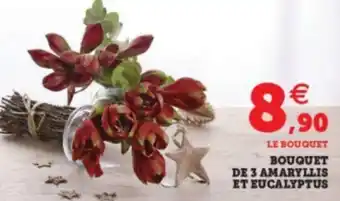 Super U Bouguet de 3 amaryllis et eucalyptus offre