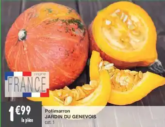 Potimarron