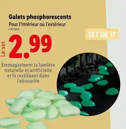 Lidl Galets phosphorescents offre