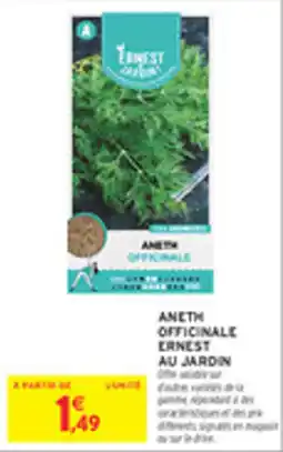 Intermarché Drive Aneth officinale ernest au jardin offre