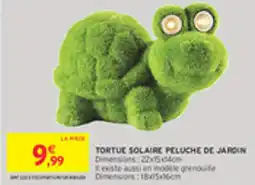 Intermarché Drive Tortue solaire peluche de jardin offre