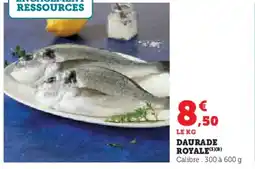 Hyper U Daurade royale offre