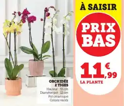 Hyper U Orchidée 2 tiges offre