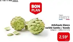 Colruyt Artichauts blancs variété sambo kendo offre