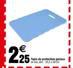 Carrefour Tapis de protection genoux offre
