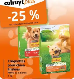 Colruyt Croquettes pour chien friskies offre