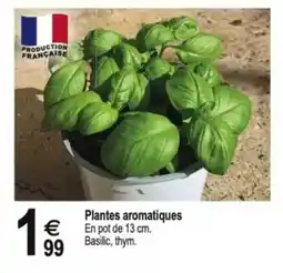 Tridôme Plantes aromatiques offre